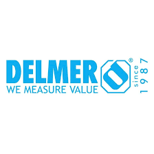 Delmer Group