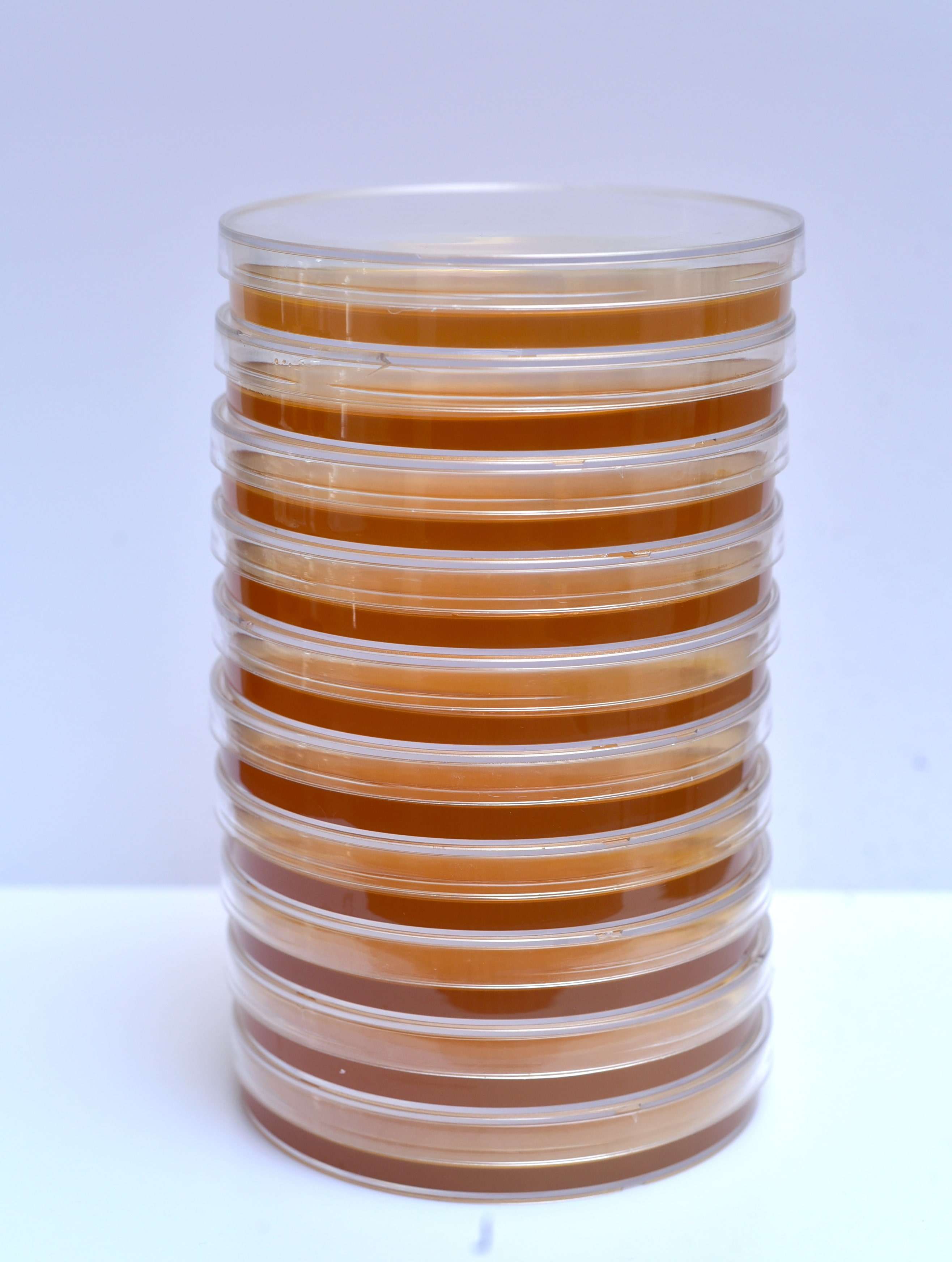Soyabean Casein Digest Agar (Triple Packed)  [Gamma Irradiated] - 90mm Plates