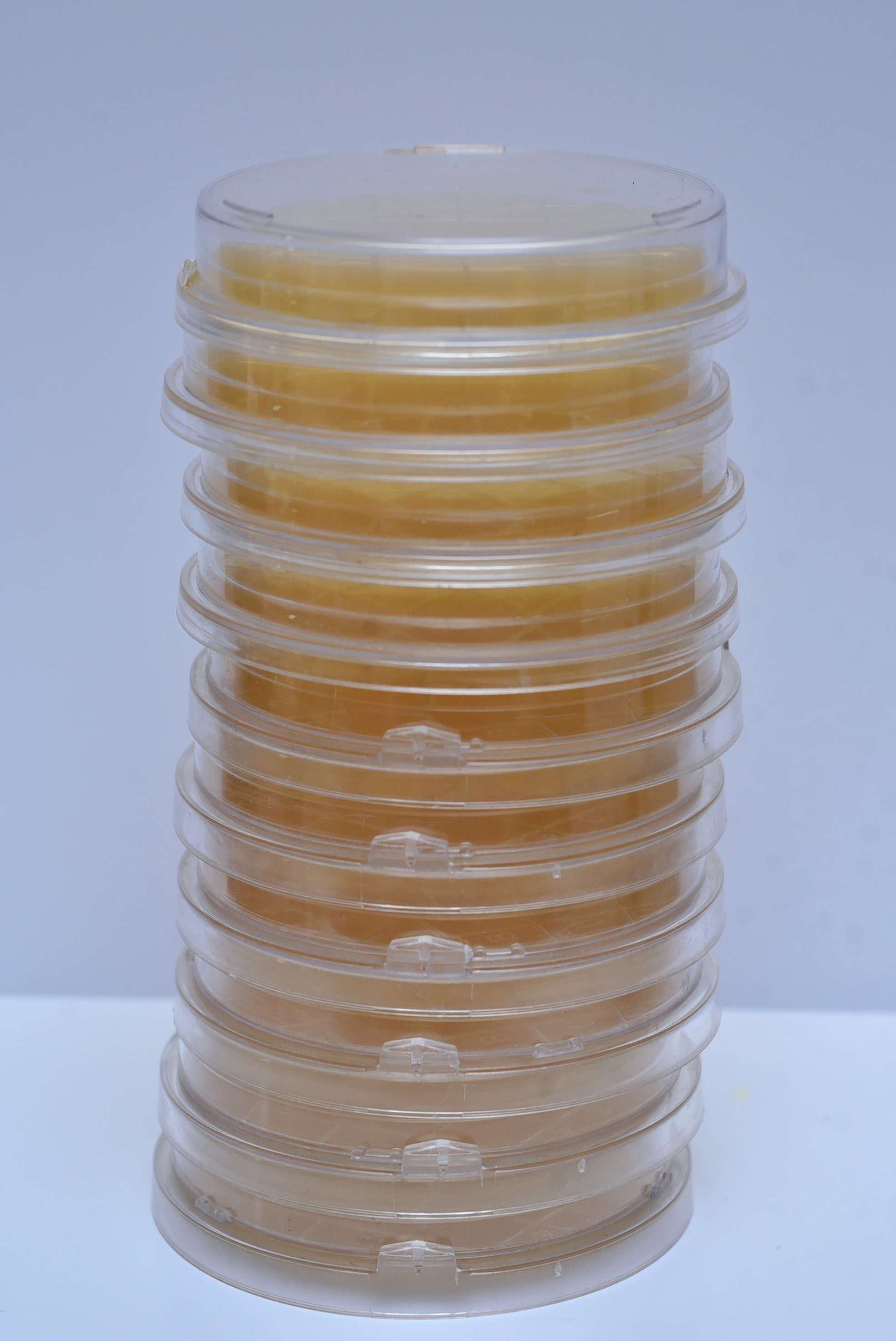 Soyabean Casein Digest Agar Contact plates 55mm,(Triple Packed, Gamma Irradiated)