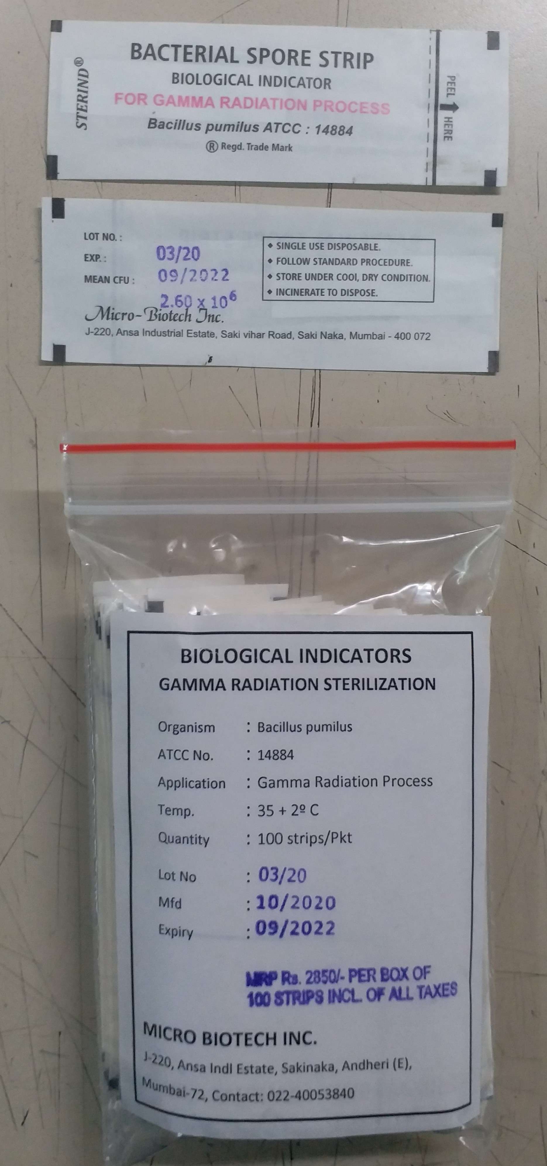 STERIND: Gamma Radiation Sterilisation Spores Strip Bacillus Pumillus (ATCC-L4884) STERIND: Gamma Radiation sterilisation Spores  strip (1box x 100 strips) at Rs 2500/- per box Plus GST 12% Bacillus pumillus (ATCC-L4884) HSN 30029090